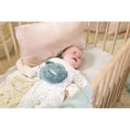 Load image into Gallery viewer, Soothing plush fish for babies