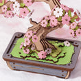 Load image into Gallery viewer, Rolife cherry blossom bonsai
